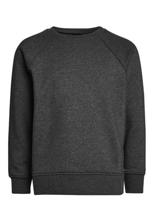 Dunkelgrauer Sweatshirt aus weichem Stoff. Mit Raglanärmeln, Rundhalsausschnitt und gerippten Bündchen sowie Saum. Glatte Textur ohne Muster.