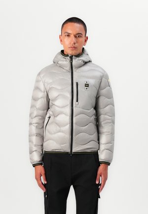 WAVE - Gewatteerde jas - grey
