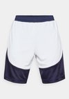 CURRY SPLASH SHORT - Spordišortsid - distant gray/midnight navy/black