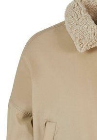 Giacca esterna beige con un colletto morbido e peloso. Il tessuto appare liscio, con un design semplice e dettagli di cucitura ben visibili.