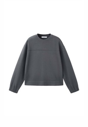 Šedá mikina s kulatým výstřihem, dlouhými rukávy, žebrovanými manžetami a vodorovným švem přes hrudník. Hladká textura a volný střih.