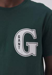 GANT GRAPHIC - Camiseta estampada - tartan green