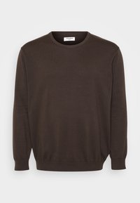 JJEBASIC CREW NECK - Vesta - delicioso
