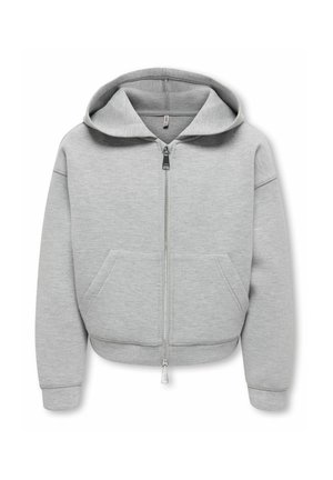 Sweat à capuche zippé gris clair avec poches avant et manches longues, présenté sur fond blanc.
