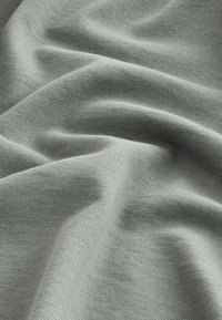 Next HEAVYWEIGHT BACK PRINT GRAPHIC - Maglietta a manica lunga - green