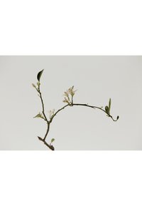 Miniatyrbild 12