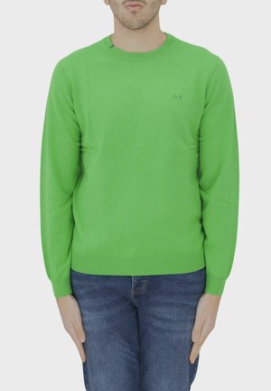 Pullover verde brillante in morbido maglione a maglia con maniche lunghe, polsini e scollatura a coste; presenta un piccolo logo sulla parte superiore del petto.