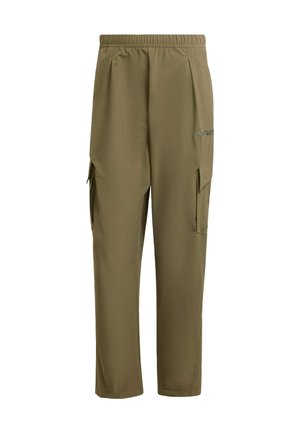 Adidas Terrex Trousers - olive strata
