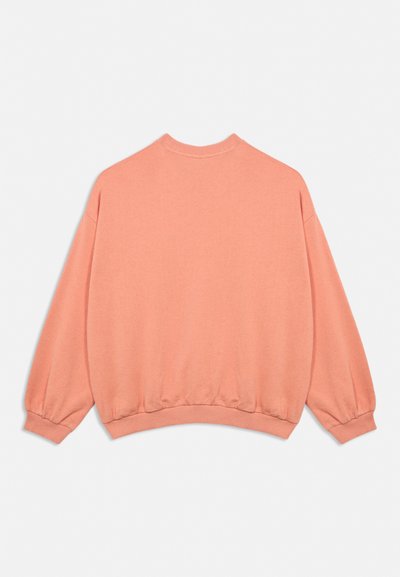 Sweat-shirt surdimensionné couleur pêche avec manches longues bouffantes, col rond, poignets élastiques et ourlet élastique, vu de dos sur fond blanc.