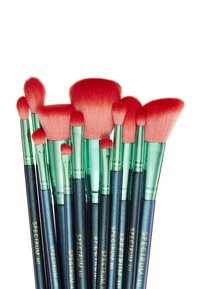 Spectrum ARIEL 12 PIECE BRUSH SET & ROLL - Pinsel-Set