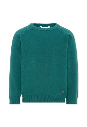 Maglione lavorato a maglia verde scuro a maniche lunghe con polsini, orlo e scollo a girocollo a coste, mostrato su sfondo bianco.