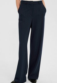 Marineblauwe gestreepte brede broek met een gladde textuur, voorzien van voorzakken en een knoopsluiting bij de tailleband, gecombineerd met zwarte schoenen.