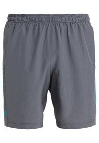 Šedé sportovní kraťasy s elastickým pasem a bočními kapsami, s jemným tyrkysovým logem na dolní části levé nohavice a na bočním panelu.