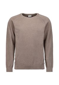 Bruine gebreide trui met een ronde halslijn, geribbelde mouwen en zoom, met raglan mouwen en subtiele textuurvariaties. 