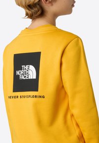 Gul genser med rund hals, med et svart rektangulært logodesign på baksiden, med teksten "THE NORTH FACE" og "NEVER STOP EXPLORING."