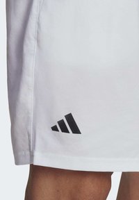 adidas Performance CLUB 3-STRIPES TENNIS - Urheilushortsit - white