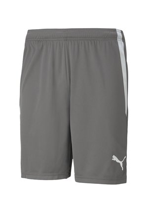 TEAMLIGA FOOTBALL - Shorts - grauweiss