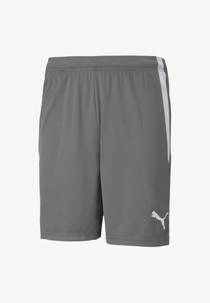 Grau Sportshorts mit einer glatten Textur, die einen weißen Seitenstreifen und ein weißes Logo am unteren Saum aufweisen. Elastischer Bund für zusätzlichen Komfort.