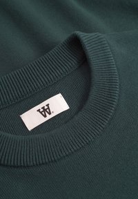 DOUBLE A BY W.W. CURT CREW NECK - Strickpullover - green gables