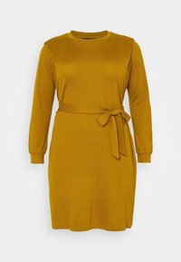Robe à manches longues couleur moutarde avec un col rond, ceinture en tissu à la taille et poignets à côtes. Texture lisse et longueur au genou.