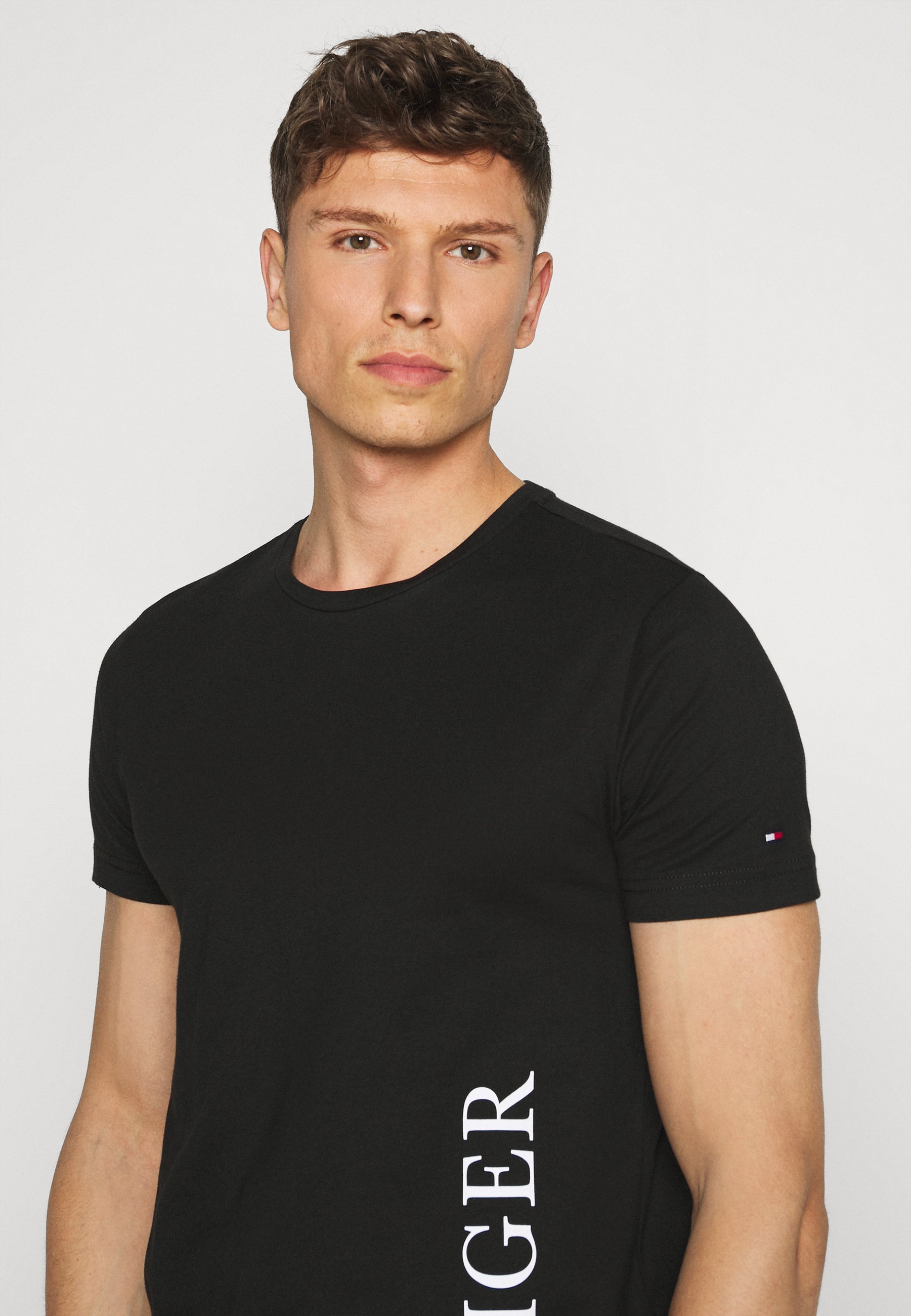 Tommy Hilfiger SMALL LOGO TEE - Print T 
