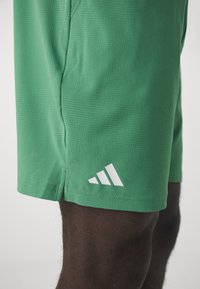 adidas Performance TENNIS ERGO - Short de sport - preloved green