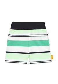 Pantalones cortos a rayas con una cinturilla elástica negra, con rayas verdes, blancas y negras. Los detalles notables incluyen bolsillos frontales y una etiqueta.