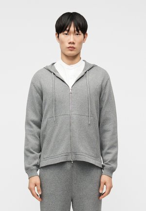 FARRY ZIPPED - Ζακέτα - light grey