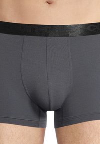 Boxer da uomo grigi realizzati in un tessuto morbido e elasticizzato, con un bordo elastico nero che presenta il logo del marchio e un design aderente.