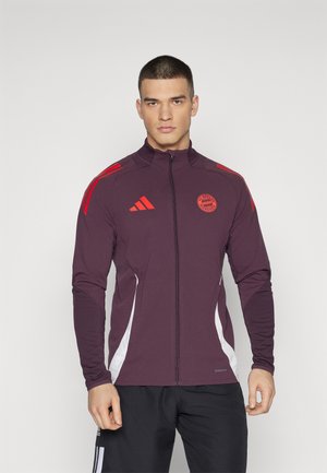 FC BAYERN MÜNCHEN TRAINING JACKET - Training jacket - shadow maroon/red