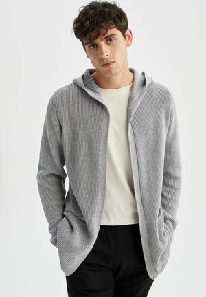 REGULAR FIT - Cardigan - grey