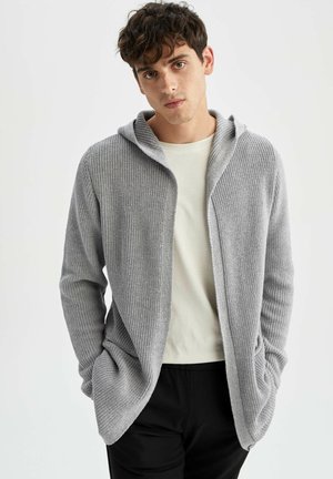 REGULAR FIT  - Kardigan - grey