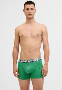 Grüne Herren-Boxershorts aus glattem Stoff, mit einem bunten, blumengeprägten Gummibund und Branding. Schlichtes, enganliegendes Design.