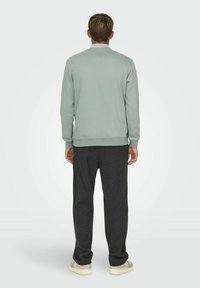 Felpa grigio-verde e pantaloni grigi scuri, materiale in cotone, polsini a costine, vestibilità rilassata, indossati con scarpe chiare. Vista da dietro.