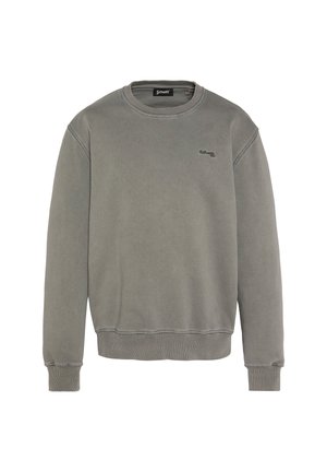 Grijze sweatshirt gemaakt van zacht materiaal, met een ronde hals, geribbelde manchetten en een eenvoudig logo op de borst. Glad textuur zonder patronen.