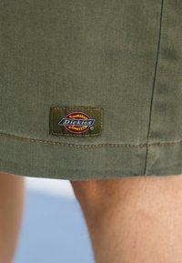 Olive green shorts featuring a stitched hem and a rectangular Dickies logo patch with red, yellow, and blue accents on the side.