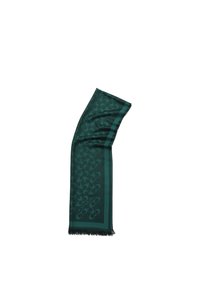 Écharpe verte à motif géométrique, avec un bord à franges. Fabriquée en tissu léger, pliée pour mettre en valeur la texture et la forme.