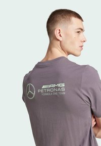 Camiseta gris con un logotipo del equipo AMG Petronas de Fórmula Uno en verde claro en la parte posterior. Mangas cortas, material de algodón suave, corte estándar.