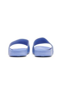 Hummel Pool slides - hydrangea