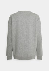 Felpa grigia con maniche lunghe, polsini e orlo a costine, colletto tondo, realizzata in morbido tessuto felpato, con una texture liscia.