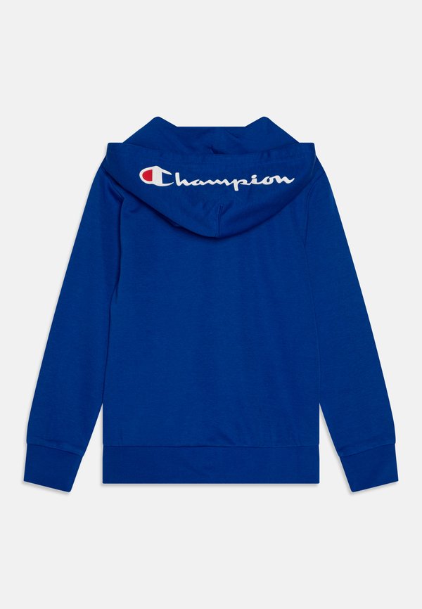 ICONS FULL ZIP HOODIE WITH SMALL LOGO - Zip-up sweatshirt - bai3