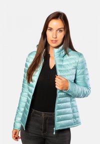 Non sélectionné, ice shiny