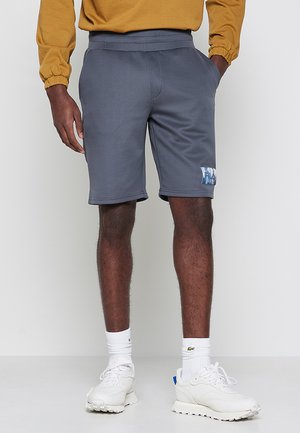 Graue Sportshorts mit einem dehnbaren Bund, gefertigt aus glattem Stoff; verfügt über ein buntes Grafikdesign auf der unteren linken Seite.