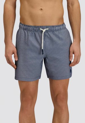 Uomo che indossa pantaloncini da bagno a righe blu e bianche con laccio bianco, in piedi con le braccia rilassate lungo i fianchi.