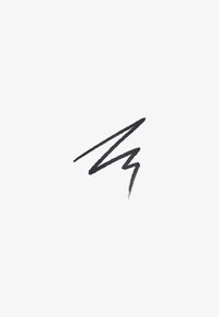 Abstrakte svarte penselstrøk i sikksakk på hvit bakgrunn, som minner om stilisert kalligrafi eller en lynboltform.