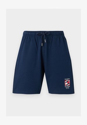 Tommy Hilfiger, BOX FLAG AMERICANA CAPSULE - Παντελόνι φόρμας - carbon navy