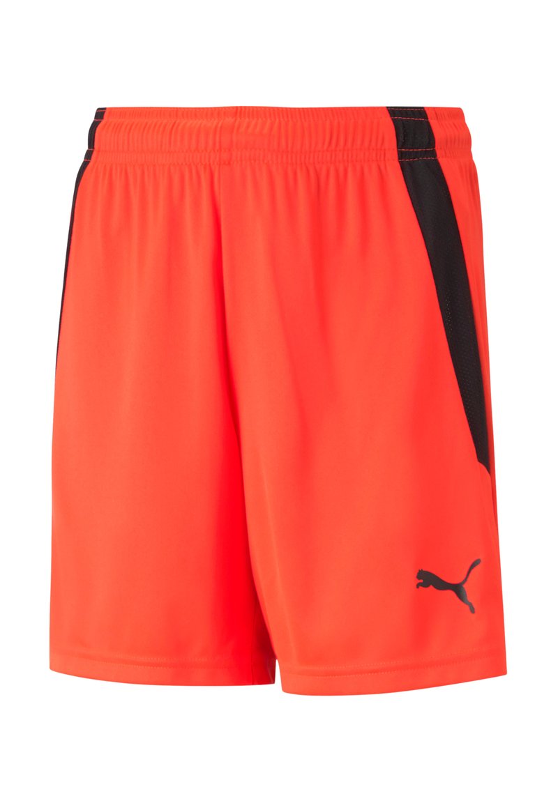 Puma TEAMLIGA  - Short de sport - rotschwarz