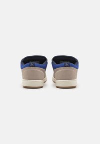 Scarpe da skate in scamosciato grigio con colletto in rete blu, intersuola bianca e suola in gomma; presenta un'etichetta con logo sul tallone e un interno imbottito.
