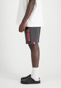 Šedé šortky s červeným logem "ALPHA" po straně, doplněné bílými ponožkami a černými nazouvacími botami. Jednoduchý, neformální sportovní design.