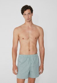 Shorts pour homme rayés vert clair avec une taille élastique et deux boutons à l'avant. Le tissu semble lisse et léger.